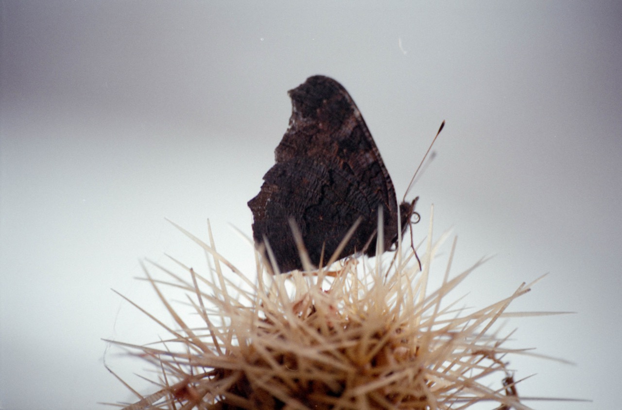 VI. Experimenty s barvou